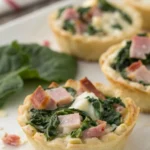 spinach snack bites