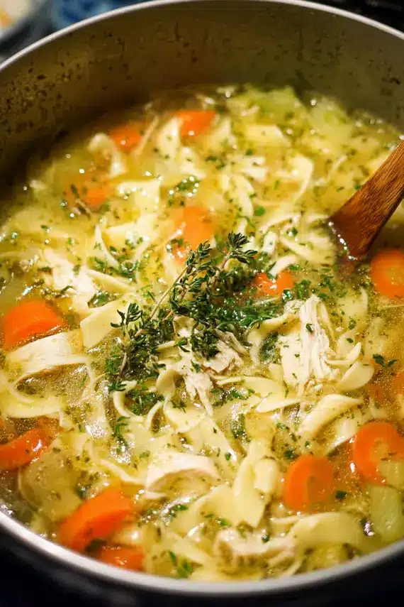 Bowl of steaming better than grandma's instant pot chicken noodle soup showing chicken, vegetables and egg noodles