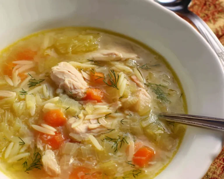 chicken fennel orzo soup